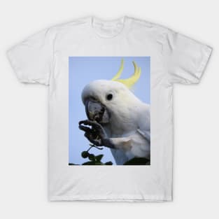 Sulphur Crested Cockatoo T-Shirt